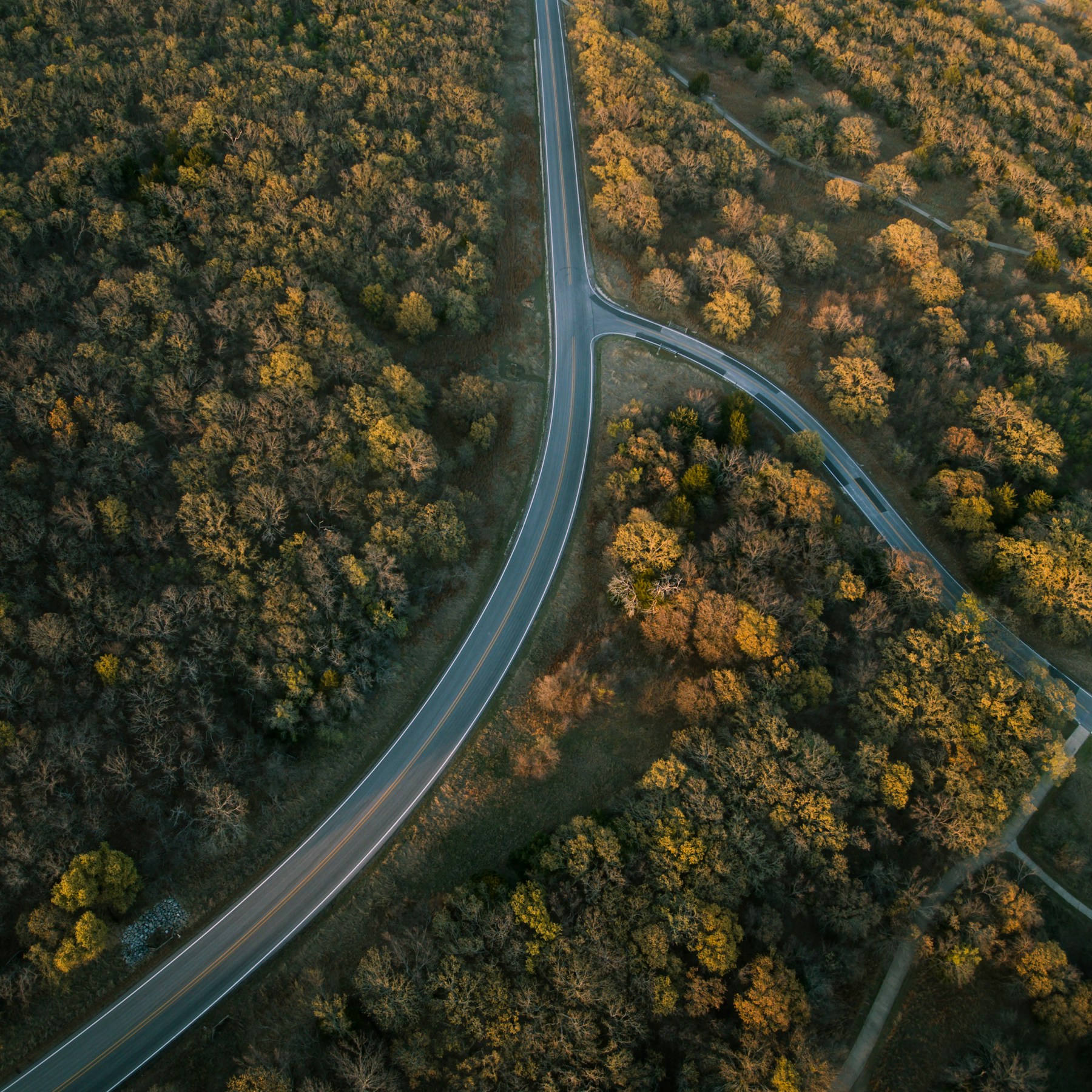 Ray Roberts Lake area — Keith Wickramasekara Aerial view of curving roads through trees in the Ray Roberts Lake area